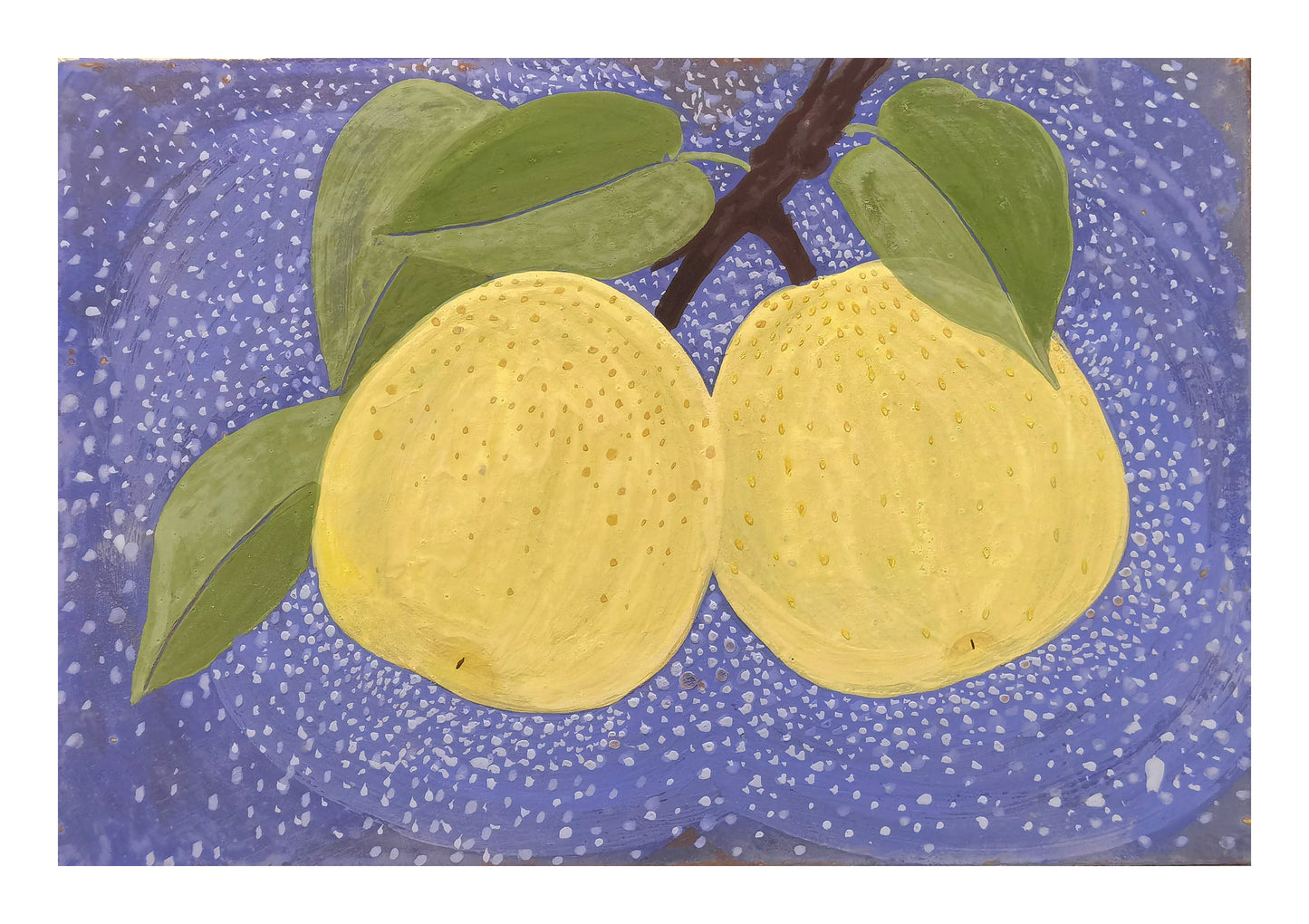 The Graceful Pear